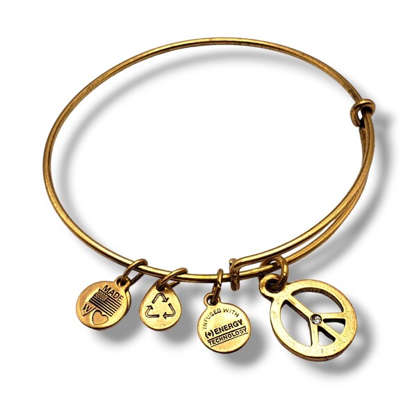 Alex and Ani Gold Tone World Peace Rafaelian Bangle Bracelet - Picture 5 of 9